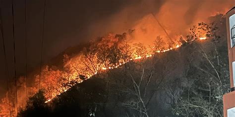 750 Hectares Of Forest Area Ravaged By Wildfires In Kaski HimalPress