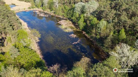 Stawy Ramienicowe Owi Ska Park Krajobrazowy Puszcza Zielonka Nasza