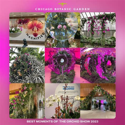 Highlights From The 2023 Chicago Botanic Garden Orchid Show