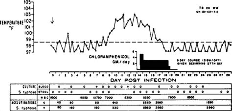 Typhoid Fever Pathogenesis And Immunologic Control Nejm