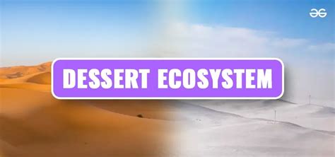 What Is Desert Ecosystem Characteristics Types And Adaptations Geeksforgeeks