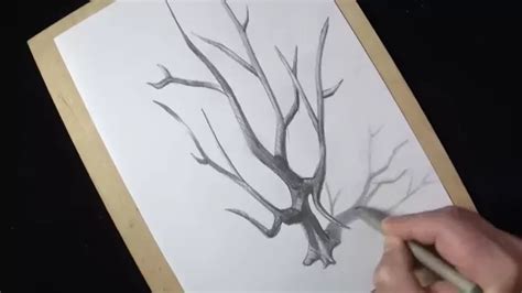 Tree Drawing step by step 3ddrawing 3darts