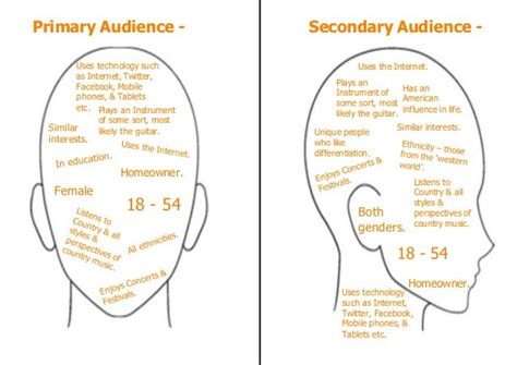 Media Primary & Secondary Audience.