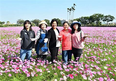 2024春遊彰化賞花海 埔鹽花海藝術節繽紛登場 中廣新聞網 Line Today