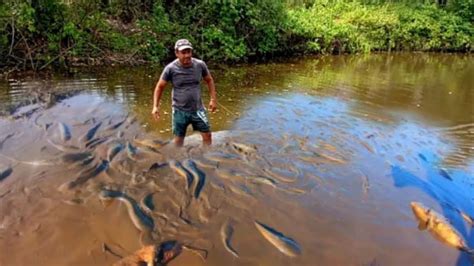 Uma Grande Quantidade De Peixe Foi Pego Nesse A Ude Foi V Rios Sacos De