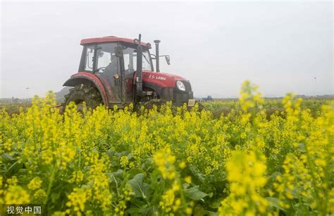 收获时节 各地田间一片丰收景象 搜狐大视野 搜狐新闻