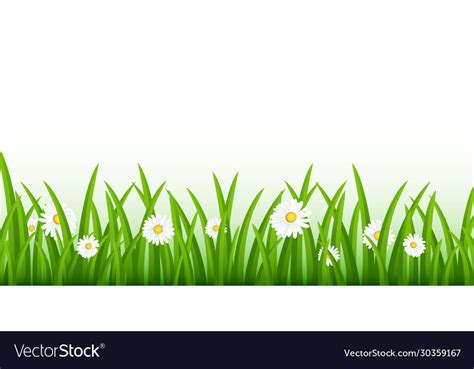 Grass hills and on foreground Royalty Free Vector Image