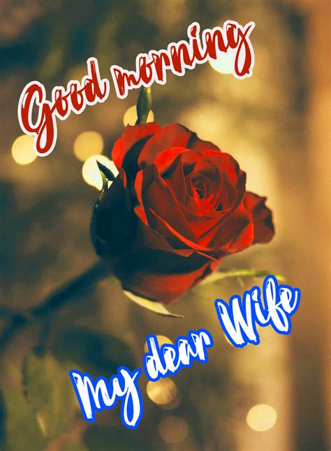 Best 100 Good Morning Wife Wishes Images And Pictures Wishes Companion