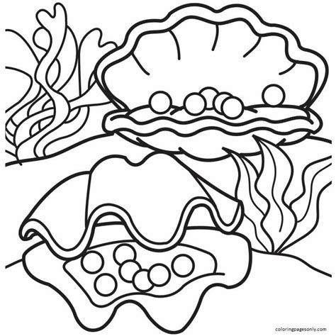 30 Clam Coloring Pages