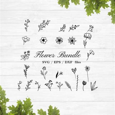 Wildflowers Bundle Svg Floral Svg Flower Svg Botanical Svg Etsy In