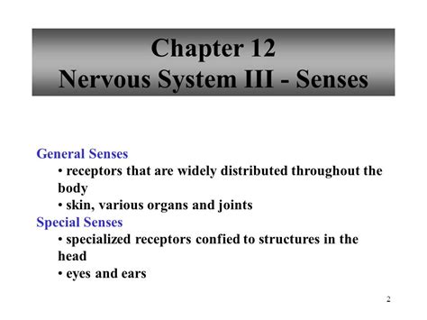 Powerpoint Lecture Outlines To Accompany Holes Human Anatomy And