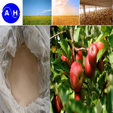 Plant Source Amino Acids 60 High Organic Nitrogen Fertilizers China