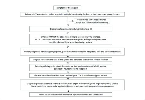 | Diagnosis and treatment algorithm based on this case report ...