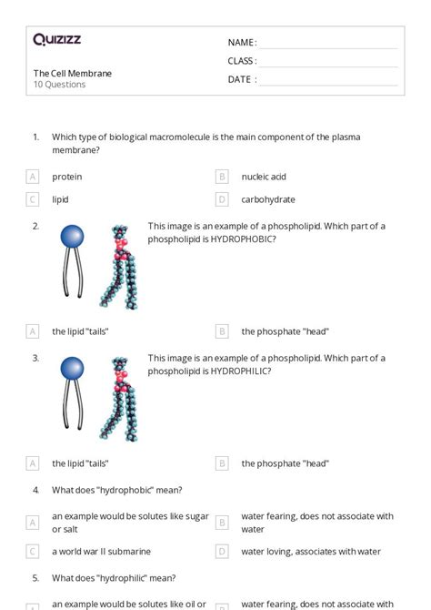 50 The Cell Membrane Worksheets On Quizizz Free And Printable