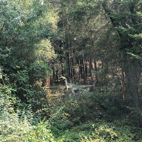 Mineral Bar Campground — Auburn State Recreation Area Auburn Ca