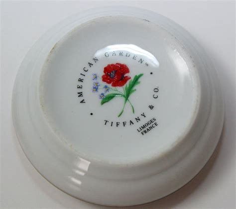 Tiffany And Co Limoges France American Garden Round Porcelain