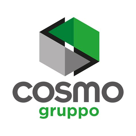 Le Aziende Del Gruppo Gruppo Cosmo