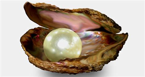 sourcebysuong pearl