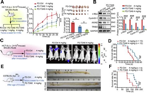 Trib3 Interacts With β Catenin And Tcf4 To Increase Stem Cell Features Of Colorectal Cancer Stem