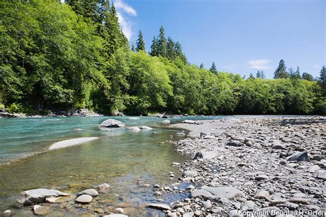 Queets River Campground Douglas Orton Imaging