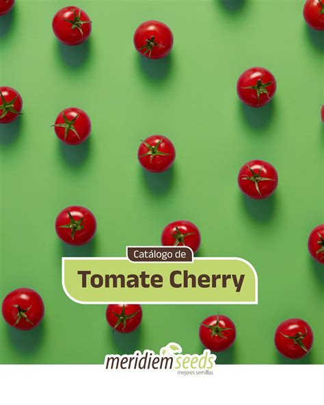 Catálogo De Tomate Cherry Meridiem Seeds By Meridiem Seeds Issuu