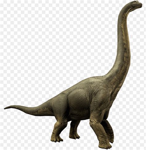 Free Download Hd Png Brachiosaurus Jurassic World Alive Wiki Fandom Powered Lesothosaurus Png