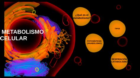 Metabolismo Celular By Reyna Benitez On Prezi