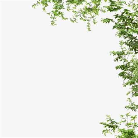 de Xing Tong en ホームアイデア en 2025 | Fondos de photoshop, Imágenes de ...