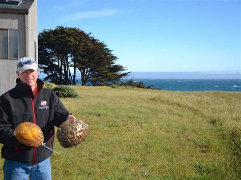 Trophy Abalone Diving at Sea Ranch and Mendonoma Area