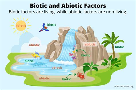 Biotic and Abiotic Factors in Ecology Learn Biology, Nonliving ...