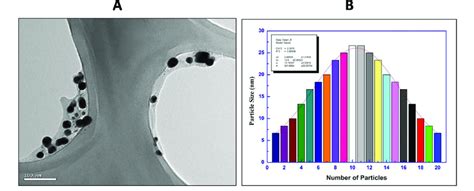 A Transmission Electron Micrograph And B Particle Size Distribution