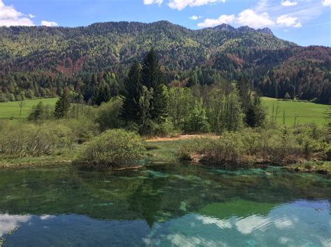 Zelenci Springs - @igslovenia