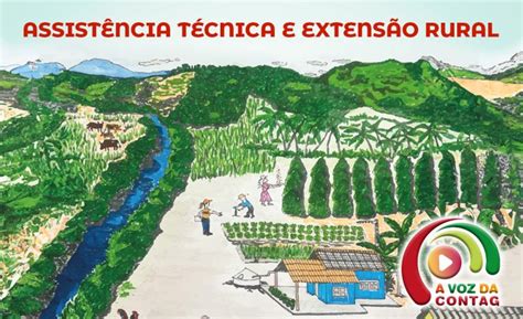 Assistência Técnica E Extensão Rural - ASSISTÊNCIA TÉCNICA E EXTENSÃO RURAL
