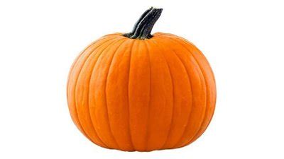 Pumpkin varieties: types of pumpkin & squash | Kikkoman