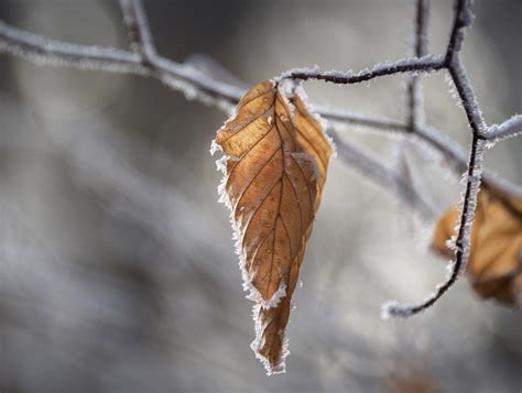 Snow vs Hail & Snow Showers: Understanding Winter Weather - The Snow ...