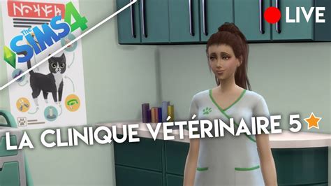 LA CLINIQUE VETERINAIRE 5 Les Sims 4 Chien Et Chat YouTube