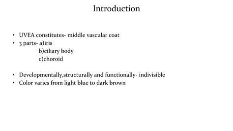 Anatomy Of Uvea Ppt