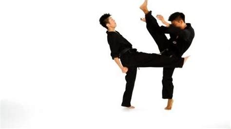 Crescent Kick | Taekwondo Wiki | Fandom