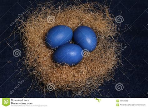 Easter Eggs Three Blue Eggs On The Nest For Easter Celebration Stock