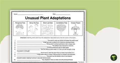 Unusual Plant Adaptations Worksheet | Teach Starter