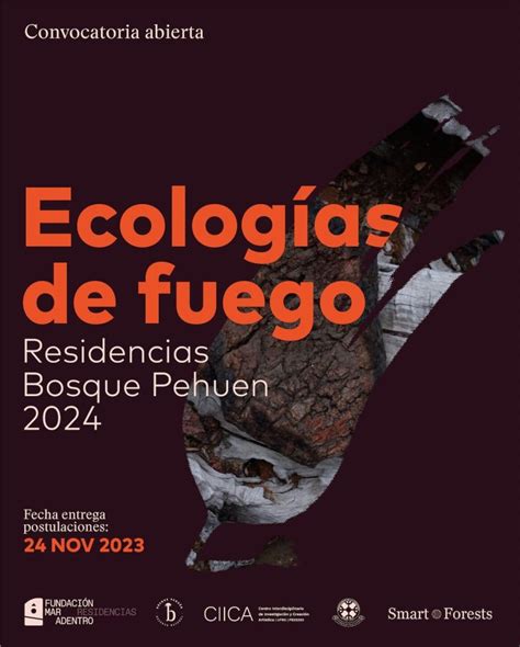 Se Abre Convocatoria Residencias Bosque Pehu N Ecolog As De Fuego