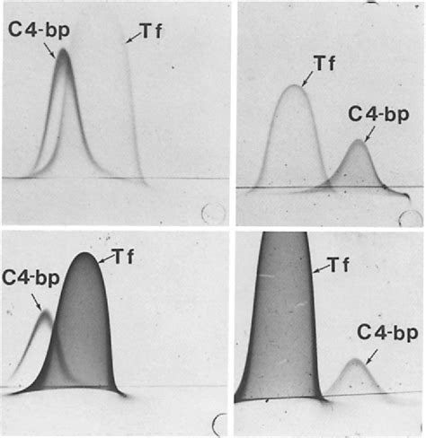 Figure 4 From Human C4 Binding Protein I Isolation And