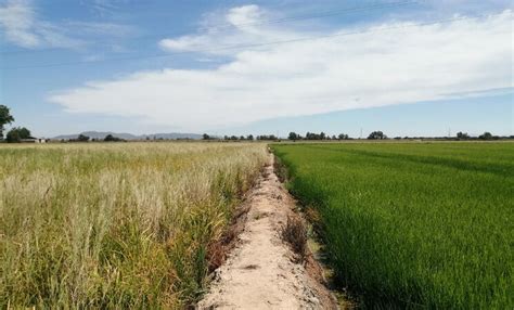 La Uni N Extremadura Pide Modificaci N Normas De La Pac Para Controlas