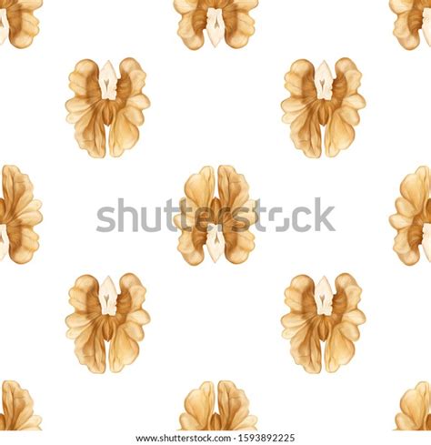 Handdrawn Sketch Walnuts Seamless Nature Background Stock Illustration