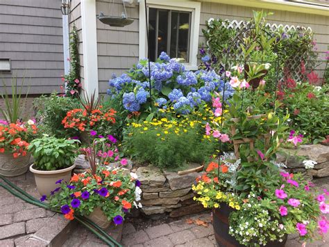 Pin By Doreen Nassimos On Connecticut Summer Gardens Plants