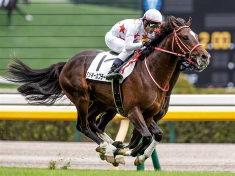 【メイクデビュー東京5rレース後コメント】ミッキーカプチーノ戸崎圭太騎手ら 競馬ニュース Netkeiba