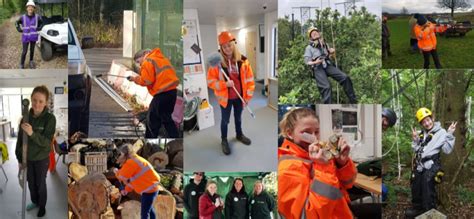 tegans year volunteering   bifor face facility biforuob