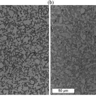 Microstructure Of Two Phase Ti Al V Alloy After Annealing At A