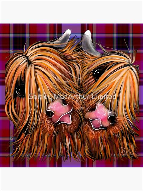 Highland Cow Print Rhubarb Ginger On Tartan By Shirley Macarthur