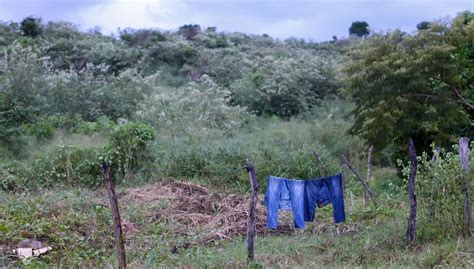 Corpo é encontrado enterrado em matagal na zona leste de Teresina GP1